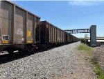 SCWX 06204
